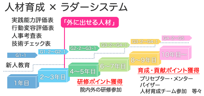 キャリア開発ラダー図