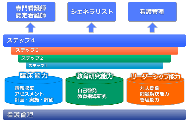 キャリア開発ラダー図